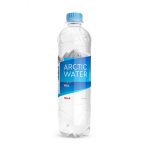 Norveška Arctic voda 500ml